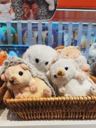 -kidsland(颐堤港店)