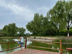 -燕郊植物园