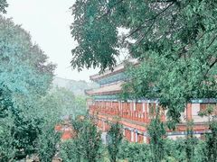 -灵光寺