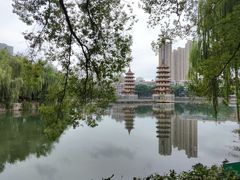 -宝岛公园