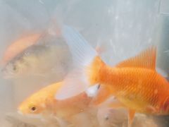 -上楼私房菜(院士路店)