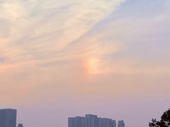 -月湖风景区