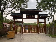 门面-明孝陵
