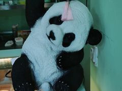 -六时安·熊猫张甜品店(东关街店)