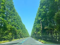 -黄海国家森林公园