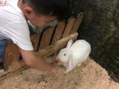 -上海大自然野生昆虫馆(东方明珠·爬宠昆虫探索中心)
