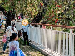 -人民公园(罗湖区)