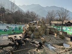 -西安秦岭野生动物园