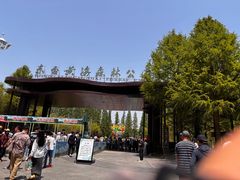 -黄海国家森林公园