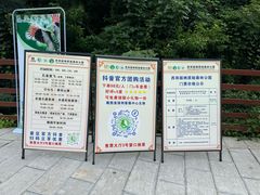 -西双版纳原始森林公园