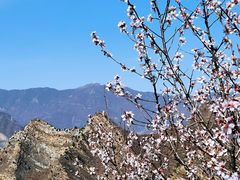 -圣莲山风景区