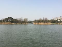 -新江湾城公园