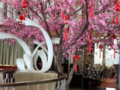 -金轩中餐厅 Jin Xuan(浦东丽思卡尔顿酒店)