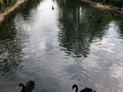 -长白岛森林公园