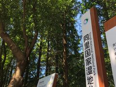 -同里国家湿地公园