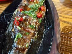 -鸽子窝专业烧烤店(长白店)