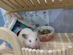 -馆陶手作坊DIY·陶艺·石塑粘土·石膏娃娃(车陂店)