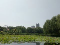-青城公园