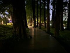 -四海公园(南山区)