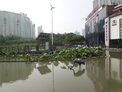 -苏州河梦清园环保主题公园