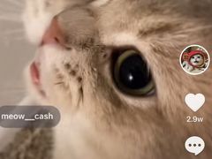 -李先生的首尔小馆(松江启源广场店)