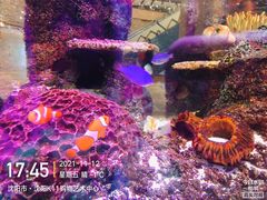 -沈阳海洋探索中心