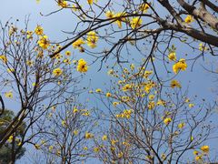 -中国移动南方基地