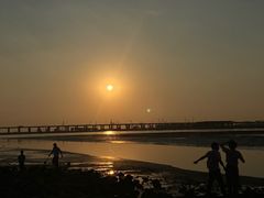 -宝安西湾红树林湿地公园