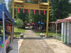 -渌洋湖湿地公园