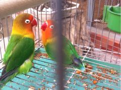iphone_upload_pic-迎泽公园