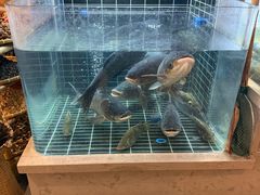 -老海陵·泰州菜(图书馆店)