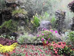 -合肥滨湖国家森林公园