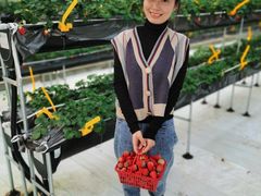 -建德果蔬乐园绪塘草莓基地