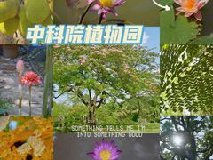 -中国科学院西双版纳热带植物园