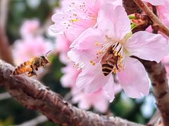 -王借岗森林公园