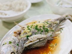 清蒸石斑鱼-源海渔村·现捞海鲜(大角湾店)
