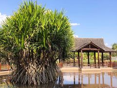 -中国科学院西双版纳热带植物园