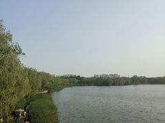 -大兴滨河森林公园