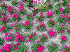 -狼山风景名胜区