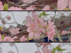 -宝墨园景区