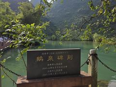 -靖西鹅泉风景区