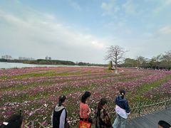 -海珠湖公园