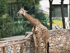 -北京野生动物园