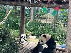 -大连森林动物园