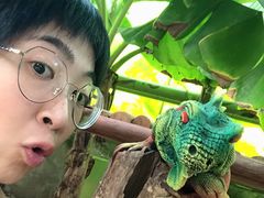 -呀路古热带植物园
