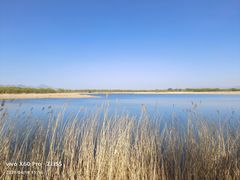 -野鸭湖国家湿地公园