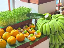 -长沙梅溪湖金茂豪华精选酒店·宴会厅