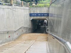 -溪岸路花鸟市场
