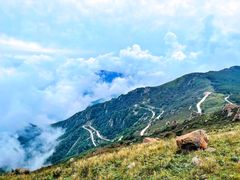 -白草畔自然风景区