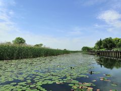 -苏州香山国际大酒店